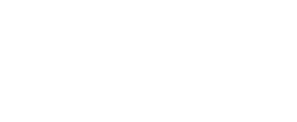 Duke Electric Vehicles
